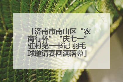 济南市南山区“农商行杯”“庆七一”驻村第一书记 羽毛球邀请赛圆满落幕