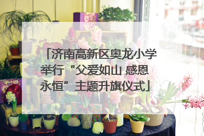 济南高新区奥龙小学举行“父爱如山 感恩永恒”主题升旗仪式