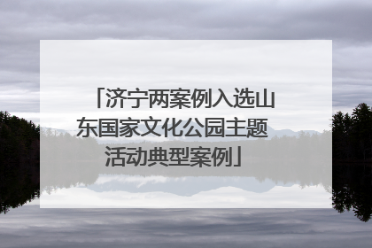 济宁两案例入选山东国家文化公园主题活动典型案例