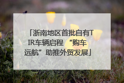 浙南地区首批自有TIR车辆启程 “购车远航”助推外贸发展