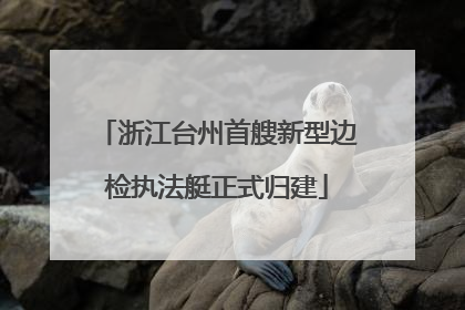 浙江台州首艘新型边检执法艇正式归建