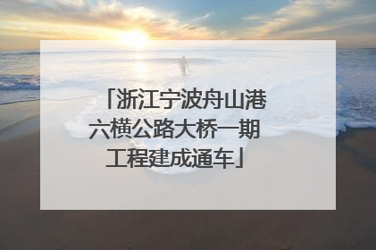 浙江宁波舟山港六横公路大桥一期工程建成通车