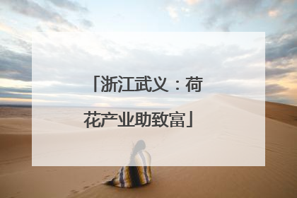 浙江武义：荷花产业助致富