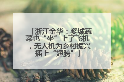 浙江金华：婺城蔬菜也“坐”上了飞机，无人机为乡村振兴插上“翅膀”