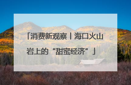 消费新观察丨海口火山岩上的“甜蜜经济”