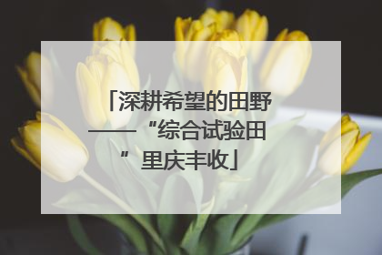 深耕希望的田野——“综合试验田”里庆丰收