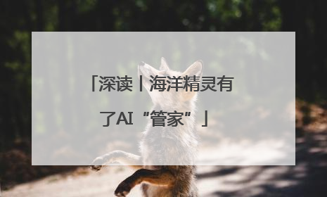 深读丨海洋精灵有了AI“管家”