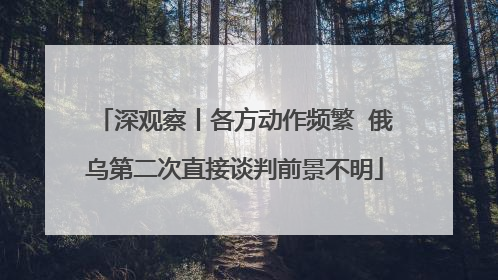 深观察丨各方动作频繁  俄乌第二次直接谈判前景不明