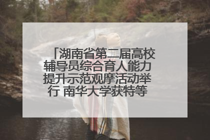 湖南省第二届高校辅导员综合育人能力提升示范观摩活动举行 南华大学获特等奖和一等奖