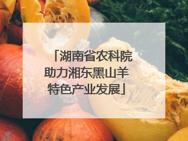 湖南省农科院助力湘东黑山羊特色产业发展