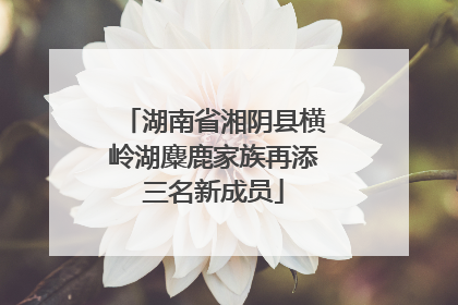 湖南省湘阴县横岭湖麋鹿家族再添三名新成员