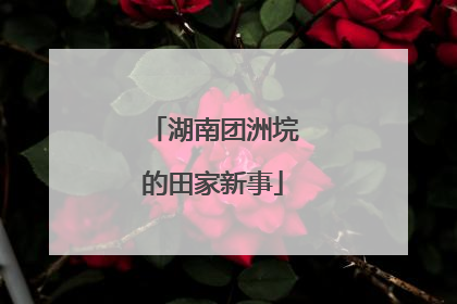 湖南团洲垸的田家新事