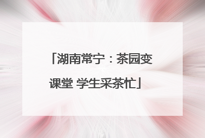 湖南常宁：茶园变课堂 学生采茶忙