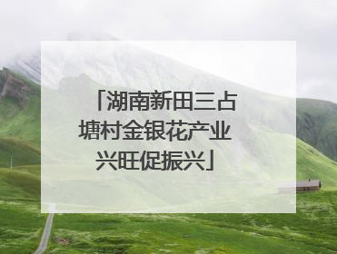 湖南新田三占塘村金银花产业兴旺促振兴