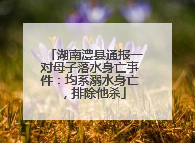湖南澧县通报一对母子落水身亡事件：均系溺水身亡，排除他杀
