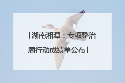 湖南湘潭：专项整治周行动成绩单公布