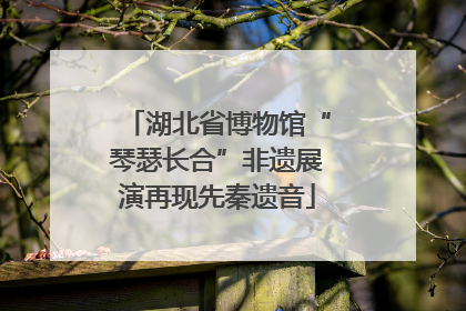 湖北省博物馆“琴瑟长合”非遗展演再现先秦遗音