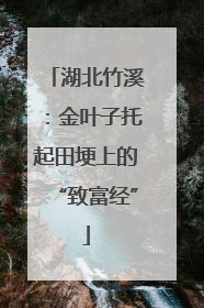 湖北竹溪：金叶子托起田埂上的“致富经”