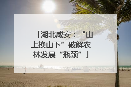 湖北咸安：“山上换山下”破解农林发展“瓶颈”