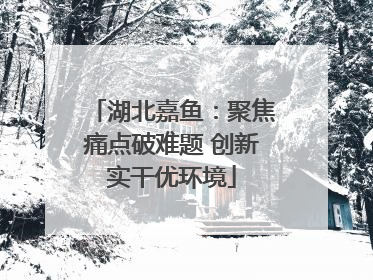 湖北嘉鱼：聚焦痛点破难题 创新实干优环境