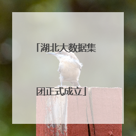 湖北大数据集团正式成立