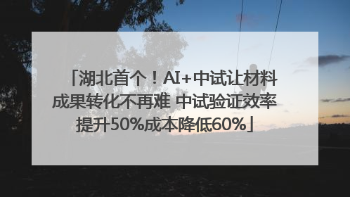 湖北首个！AI+中试让材料成果转化不再难 中试验证效率提升50%成本降低60%