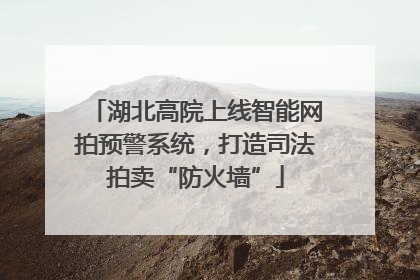 湖北高院上线智能网拍预警系统，打造司法拍卖“防火墙”