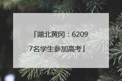 湖北黄冈：62097名学生参加高考