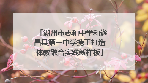 湖州市志和中学和遂昌县第三中学携手打造体教融合实践新样板