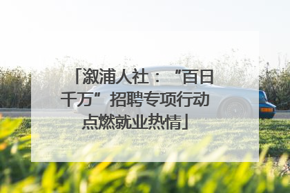溆浦人社：“百日千万”招聘专项行动点燃就业热情