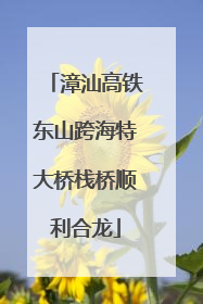 漳汕高铁东山跨海特大桥栈桥顺利合龙