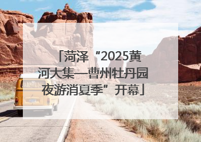 菏泽“2025黄河大集—曹州牡丹园夜游消夏季”开幕