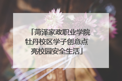 菏泽家政职业学院牡丹校区学子创意点亮校园安全生活