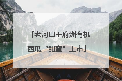 老河口王府洲有机西瓜“甜蜜”上市