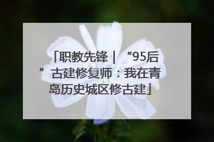 职教先锋｜“95后”古建修复师：我在青岛历史城区修古建