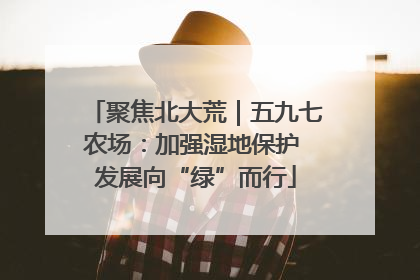 聚焦北大荒｜五九七农场：加强湿地保护 发展向“绿”而行