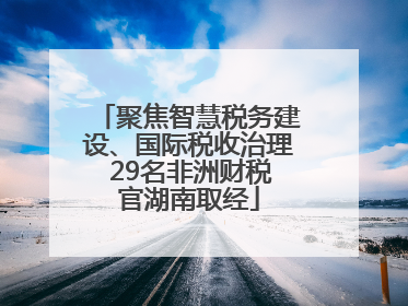 聚焦智慧税务建设、国际税收治理 29名非洲财税官湖南取经
