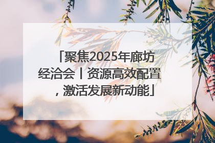 聚焦2025年廊坊经洽会丨资源高效配置，激活发展新动能