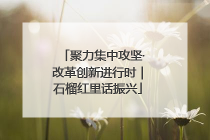 聚力集中攻坚·改革创新进行时｜石榴红里话振兴