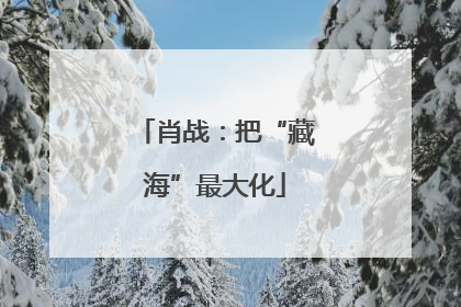 肖战：把“藏海”最大化