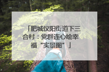 肥城仪阳街道下三合村：党群连心绘幸福“实景图”