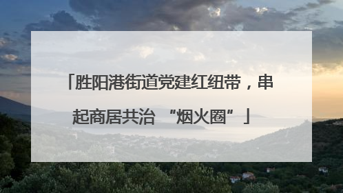 胜阳港街道党建红纽带，串起商居共治 “烟火圈”