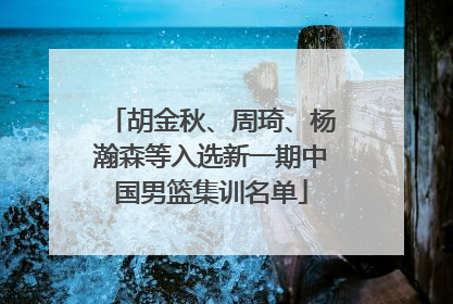 胡金秋、周琦、杨瀚森等入选新一期中国男篮集训名单