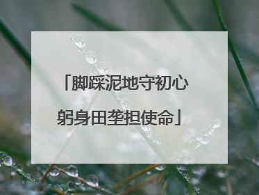 脚踩泥地守初心 躬身田垄担使命