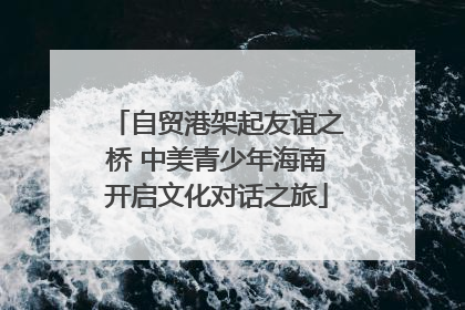 自贸港架起友谊之桥 中美青少年海南开启文化对话之旅