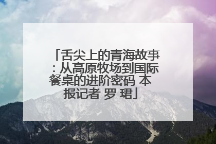 舌尖上的青海故事：从高原牧场到国际餐桌的进阶密码 本报记者 罗 珺