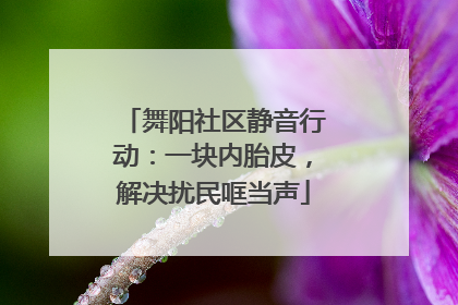 舞阳社区静音行动：一块内胎皮，解决扰民哐当声