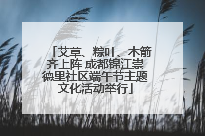艾草、粽叶、木箭齐上阵 成都锦江崇德里社区端午节主题文化活动举行