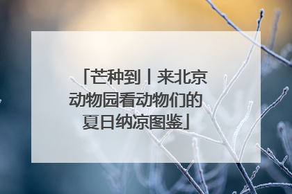 芒种到丨来北京动物园看动物们的夏日纳凉图鉴