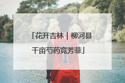 花开吉林｜柳河县千亩芍药竞芳菲